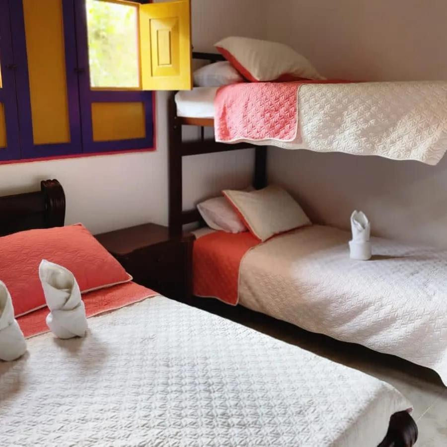 Hostal Palmas De Cocora Salento Zewnętrze zdjęcie