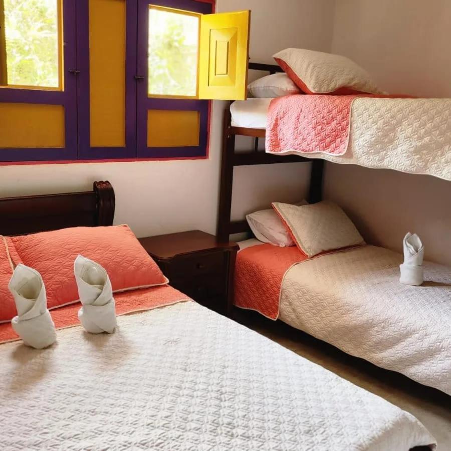 Hostal Palmas De Cocora Salento Zewnętrze zdjęcie