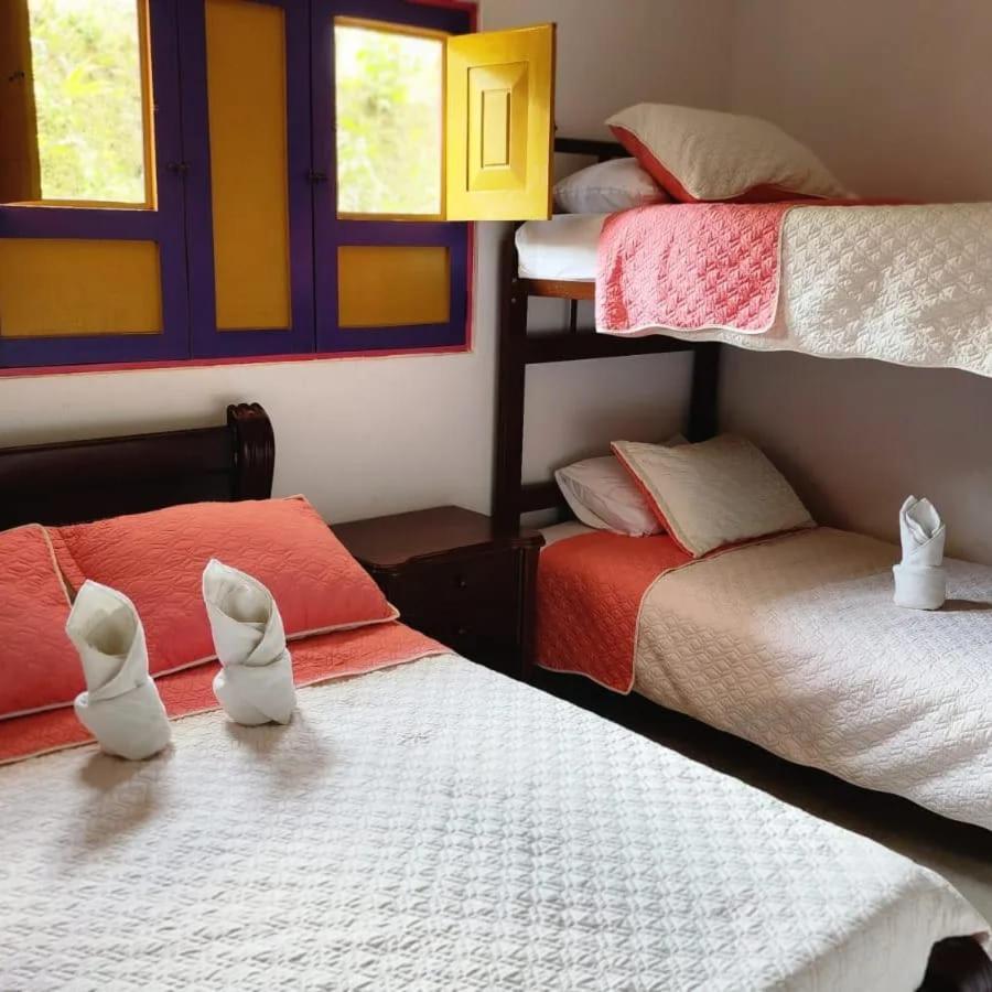 Hostal Palmas De Cocora Salento Zewnętrze zdjęcie