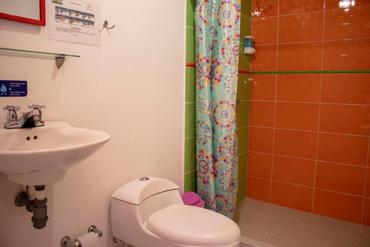 Hostal Palmas De Cocora Salento Zewnętrze zdjęcie