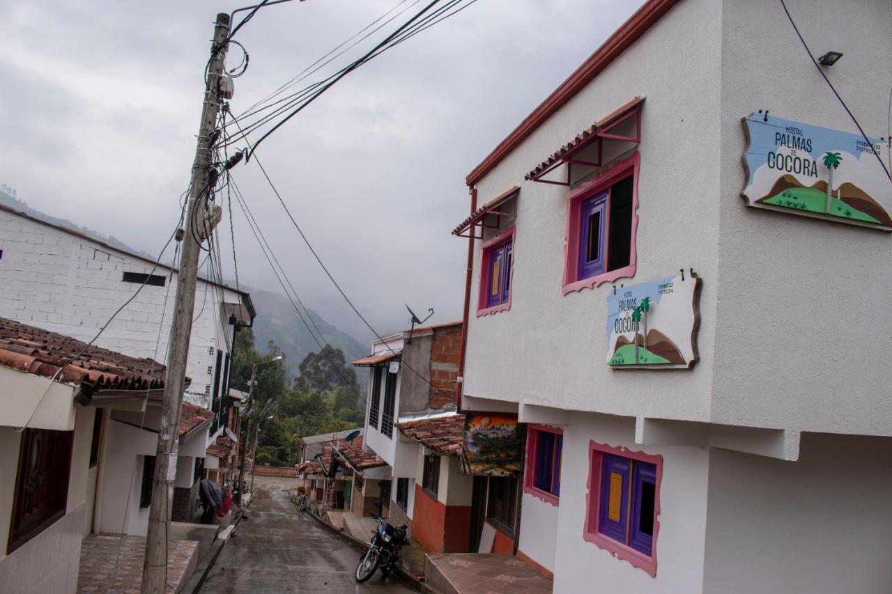 Hostal Palmas De Cocora Salento Zewnętrze zdjęcie