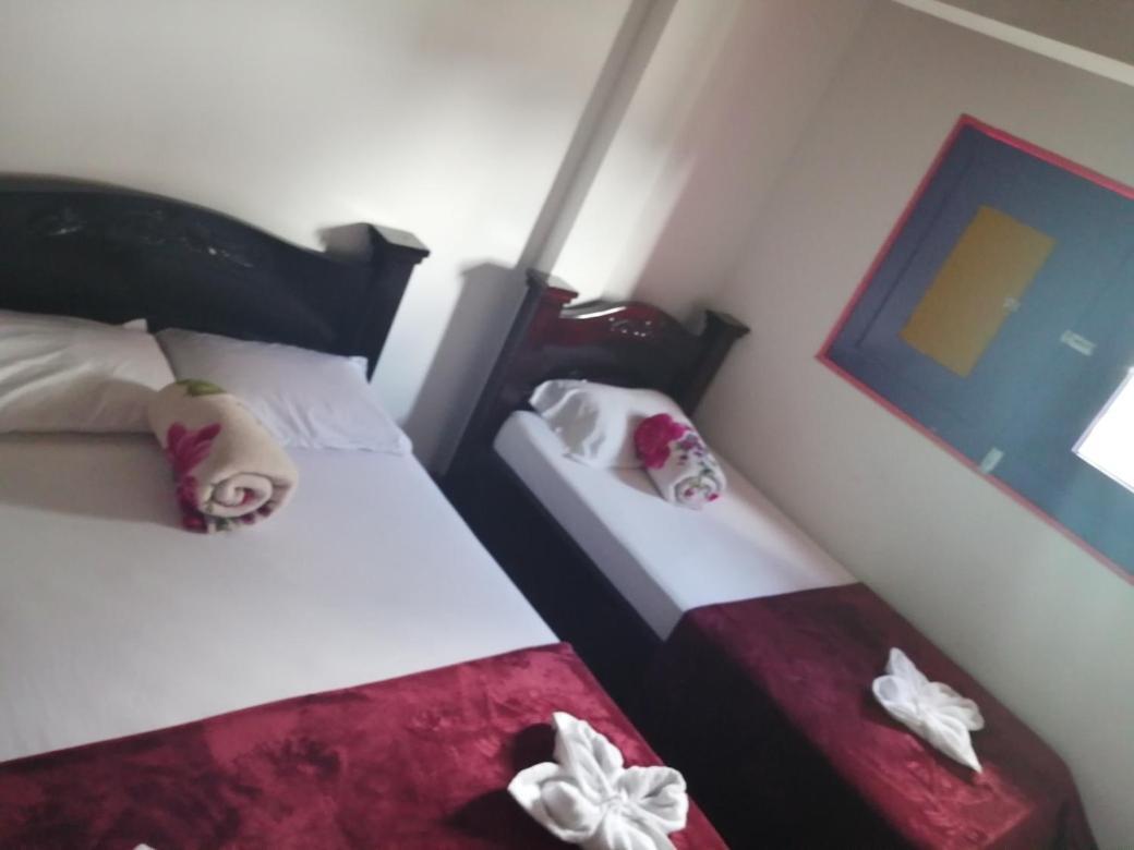 Hostal Palmas De Cocora Salento Zewnętrze zdjęcie